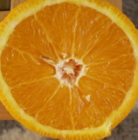 appelsiini_a.jpg